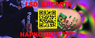 стаф Краснодар