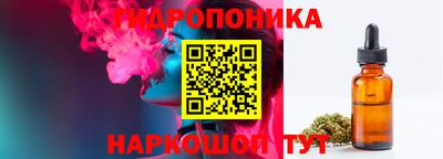стаф Краснодар