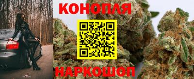 прущие крисы Краснокаменск
